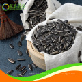 big sale sunflower seeds from Mongolia 3638 $1000